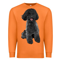 Carrot black poodles dog Premium Sweatshirt - LillyAllenDesigns