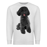 Oatmeal Heather black poodles dog Premium Sweatshirt - LillyAllenDesigns