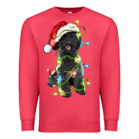 Cardinal christmas black poodles dog Premium Sweatshirt - LillyAllenDesigns