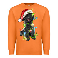 Carrot christmas black poodles dog Premium Sweatshirt - LillyAllenDesigns