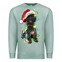 Seafoam christmas black poodles dog Premium Sweatshirt - LillyAllenDesigns