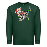 Sports Green christmas american shorthair cat Premium Sweatshirt - LillyAllenDesigns