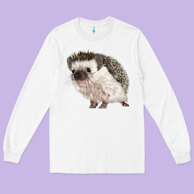 Hedgehog Illustrations Long Sleeve Tee Designed By Lillyallendesigns