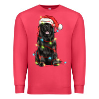 Cardinal christmas newfoundland dog Premium Sweatshirt - LillyAllenDesigns