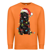 Carrot christmas newfoundland dog Premium Sweatshirt - LillyAllenDesigns