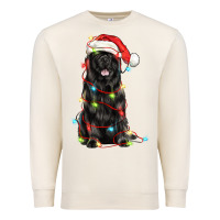 Sandshell christmas newfoundland dog Premium Sweatshirt - LillyAllenDesigns