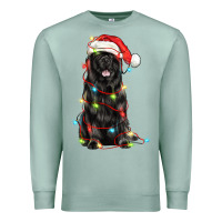 Seafoam christmas newfoundland dog Premium Sweatshirt - LillyAllenDesigns