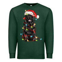 Sports Green christmas newfoundland dog Premium Sweatshirt - LillyAllenDesigns