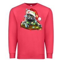 Cardinal christmas scottish fold cat Premium Sweatshirt - LillyAllenDesigns