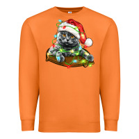 Carrot christmas scottish fold cat Premium Sweatshirt - LillyAllenDesigns