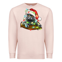 Pale Pink christmas scottish fold cat Premium Sweatshirt - LillyAllenDesigns