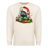 Sandshell christmas scottish fold cat Premium Sweatshirt - LillyAllenDesigns