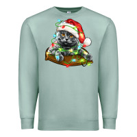 Seafoam christmas scottish fold cat Premium Sweatshirt - LillyAllenDesigns