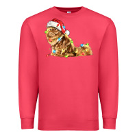 Cardinal christmas persian cat Premium Sweatshirt - LillyAllenDesigns