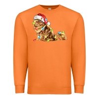Carrot christmas persian cat Premium Sweatshirt - LillyAllenDesigns