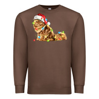 Chestnut christmas persian cat Premium Sweatshirt - LillyAllenDesigns