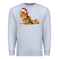 Heather Grey christmas persian cat Premium Sweatshirt - LillyAllenDesigns