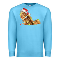 Ocean Blue christmas persian cat Premium Sweatshirt - LillyAllenDesigns