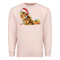 Pale Pink christmas persian cat Premium Sweatshirt - LillyAllenDesigns