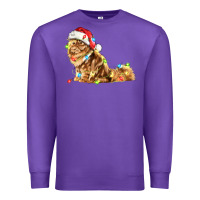 Purple christmas persian cat Premium Sweatshirt - LillyAllenDesigns