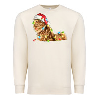 Sandshell christmas persian cat Premium Sweatshirt - LillyAllenDesigns