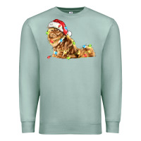 Seafoam christmas persian cat Premium Sweatshirt - LillyAllenDesigns