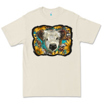 Bone white scottish calf with sunflowers western  background Premium Tee - BarkalooDesign