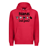 Cardinal Friends not Food Premium Hoodie - Bettercallsaul