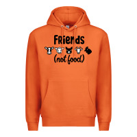 Carrot Friends not Food Premium Hoodie - Bettercallsaul