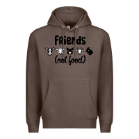 Coffee Friends not Food Premium Hoodie - Bettercallsaul