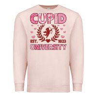 Pale Pink cupid university Premium Sweatshirt - LillyAllenDesigns