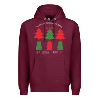 Burgundy All Want For Christmas is You Just Kidding I Want Cats Premium Hoodie - Bettercallsaul