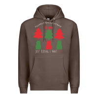 Coffee All Want For Christmas is You Just Kidding I Want Cats Premium Hoodie - Bettercallsaul