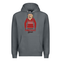 Rock Christmas Labrador Premium Hoodie - Bettercallsaul