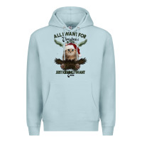 Blue Mist All I Want For Christmas Is You Just Kidding I Want Cats Premium Hoodie - Bettercallsaul