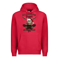 Cardinal All I Want For Christmas Is You Just Kidding I Want Cats Premium Hoodie - Bettercallsaul