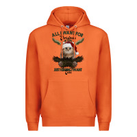 Carrot All I Want For Christmas Is You Just Kidding I Want Cats Premium Hoodie - Bettercallsaul