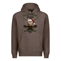 Coffee All I Want For Christmas Is You Just Kidding I Want Cats Premium Hoodie - Bettercallsaul