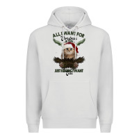 Dove Grey All I Want For Christmas Is You Just Kidding I Want Cats Premium Hoodie - Bettercallsaul