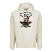 Oatmeal Heather All I Want For Christmas Is You Just Kidding I Want Cats Premium Hoodie - Bettercallsaul