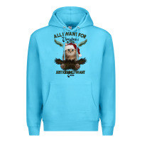 Ocean Blue All I Want For Christmas Is You Just Kidding I Want Cats Premium Hoodie - Bettercallsaul
