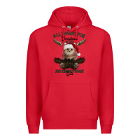 Red All I Want For Christmas Is You Just Kidding I Want Cats Premium Hoodie - Bettercallsaul