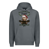 Rock All I Want For Christmas Is You Just Kidding I Want Cats Premium Hoodie - Bettercallsaul