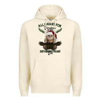 Sandshell All I Want For Christmas Is You Just Kidding I Want Cats Premium Hoodie - Bettercallsaul