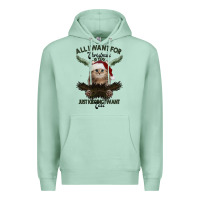 Seafoam All I Want For Christmas Is You Just Kidding I Want Cats Premium Hoodie - Bettercallsaul