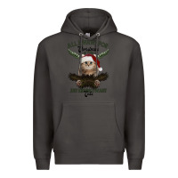 Smoke All I Want For Christmas Is You Just Kidding I Want Cats Premium Hoodie - Bettercallsaul