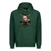 Sports Green All I Want For Christmas Is You Just Kidding I Want Cats Premium Hoodie - Bettercallsaul