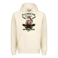 Tofu All I Want For Christmas Is You Just Kidding I Want Cats Premium Hoodie - Bettercallsaul