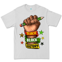 Dove Grey teach black history Premium Tee - texasbilliewilder