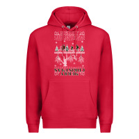 Cardinal Merry Christmas Premium Hoodie - Bettercallsaul